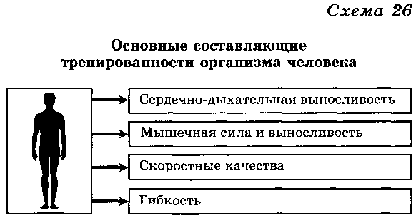 Доклад: Физическое здоровье человека. Что такое максимально потребление кислорода?